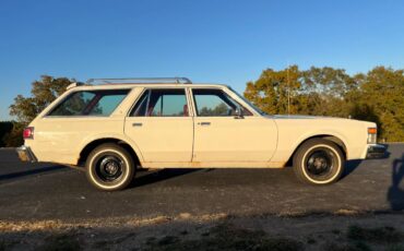 Chrysler-lebaron-town-and-country-1978-white-5