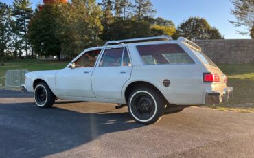 Chrysler-lebaron-town-and-country-1978-white-7