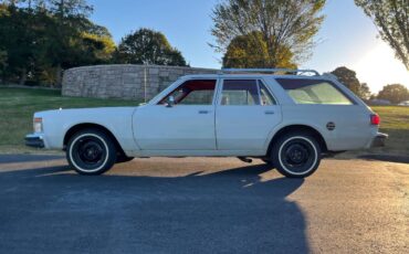 Chrysler-lebaron-town-and-country-1978-white-8