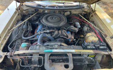 Chrysler-town-amp-country-1973-yellow-11