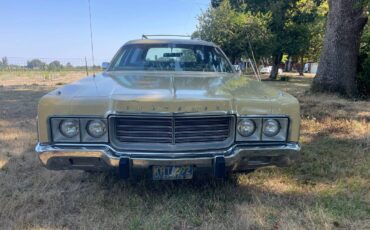 Chrysler-town-amp-country-1973-yellow-5