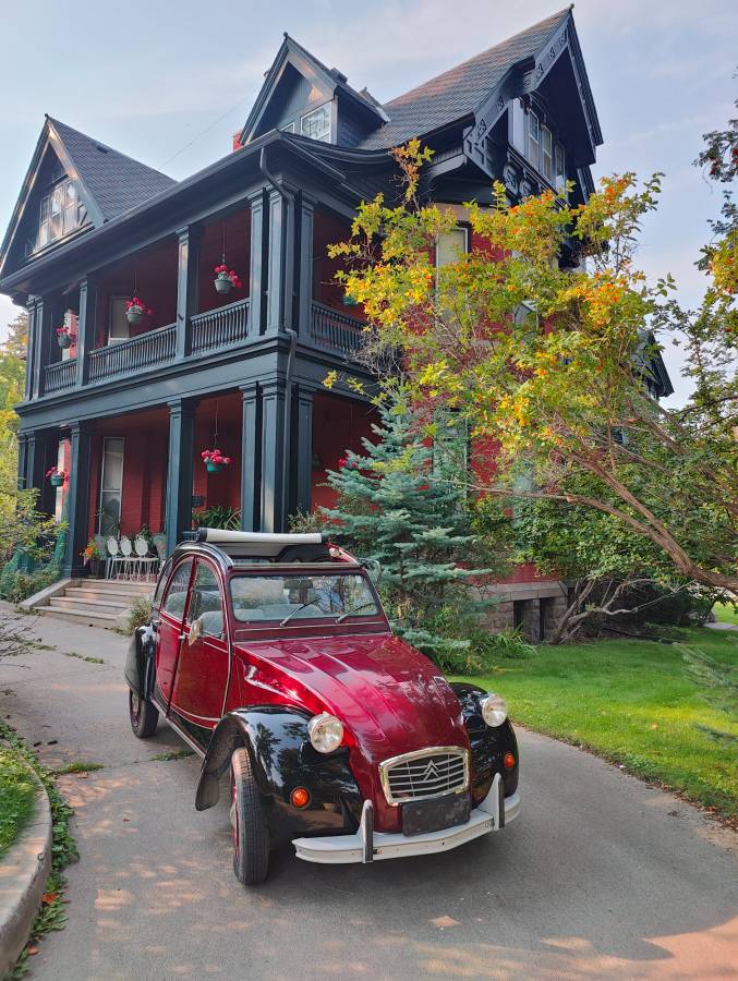 Citroen-deux-chevaux-1982-custom-1