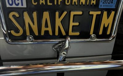 Cobra 1965
