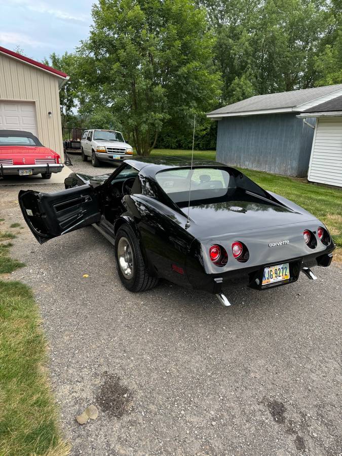 Corvette-1977-black-3