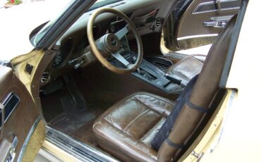 Corvette-1977-custom-1