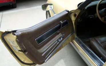Corvette-1977-custom-2