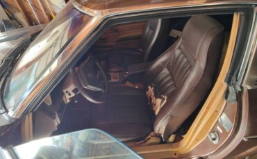 Datsun-280zx-1979-brown-2