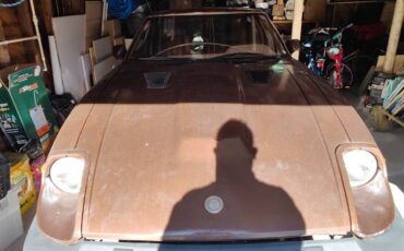 Datsun-280zx-1979-brown