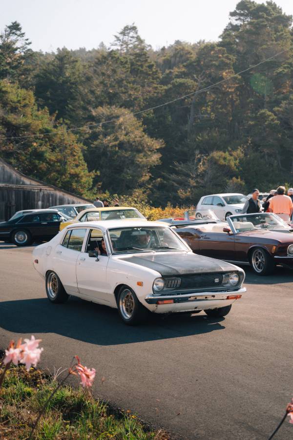 Datsun-b210-1974-white-7