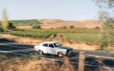 Datsun-b210-1974-white-9