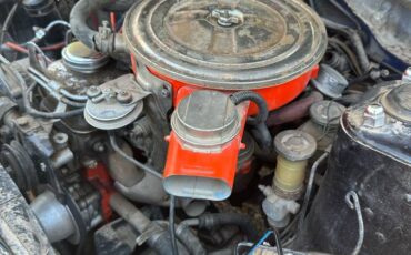 Datsun-b210-1978-orange-3