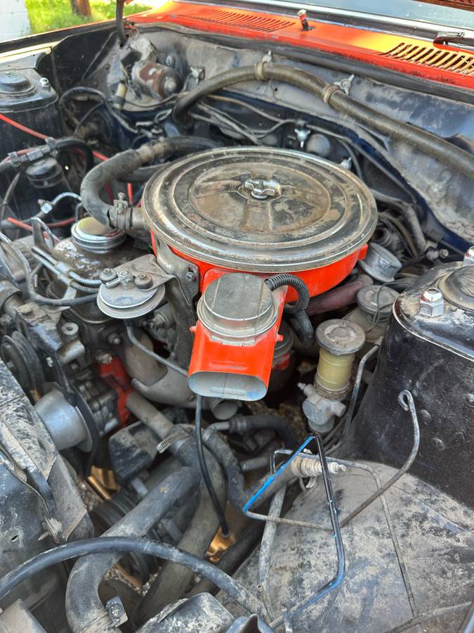 Datsun-b210-1978-orange-3