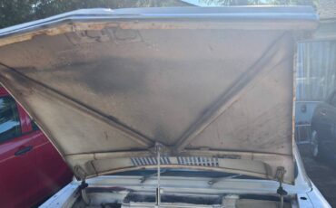 Datsun-pickup-truck-nl-320-1965-white-6