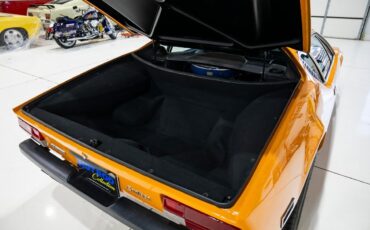 De-Tomaso-Pantera-1974-37