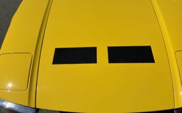 De-tomaso-Pantera-1972-Yellow-Black-14