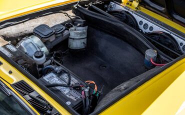 De-tomaso-pantera-1972-21