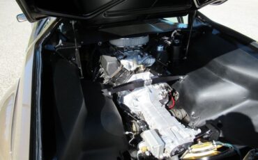 Detomaso-Pantera-1974-Nara-Bronze-Metall-Black-11