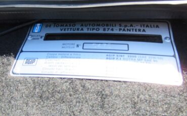 Detomaso-Pantera-1974-Nara-Bronze-Metall-Black-17