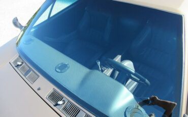 Detomaso-Pantera-1974-Nara-Bronze-Metall-Black-18