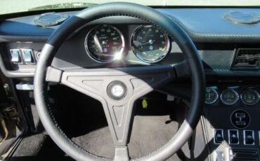 Detomaso-Pantera-1974-Nara-Bronze-Metall-Black-19