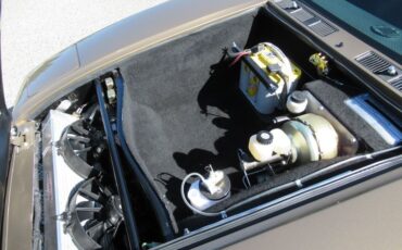 Detomaso-Pantera-1974-Nara-Bronze-Metall-Black-20