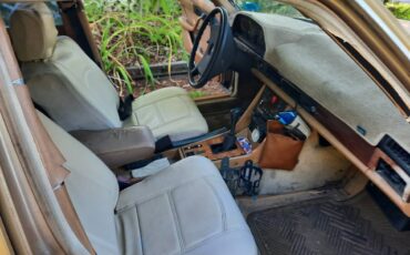Diesel-1982-custom-5