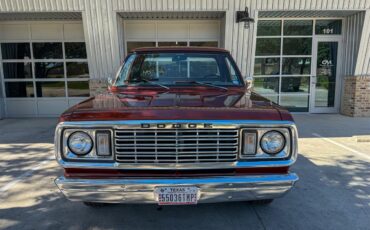 Dodge-100-1977-Orange-White-23