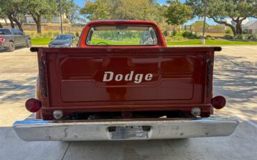 Dodge-100-1977-Orange-White-29