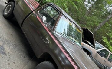 Dodge-150-custom-1980-brown-1