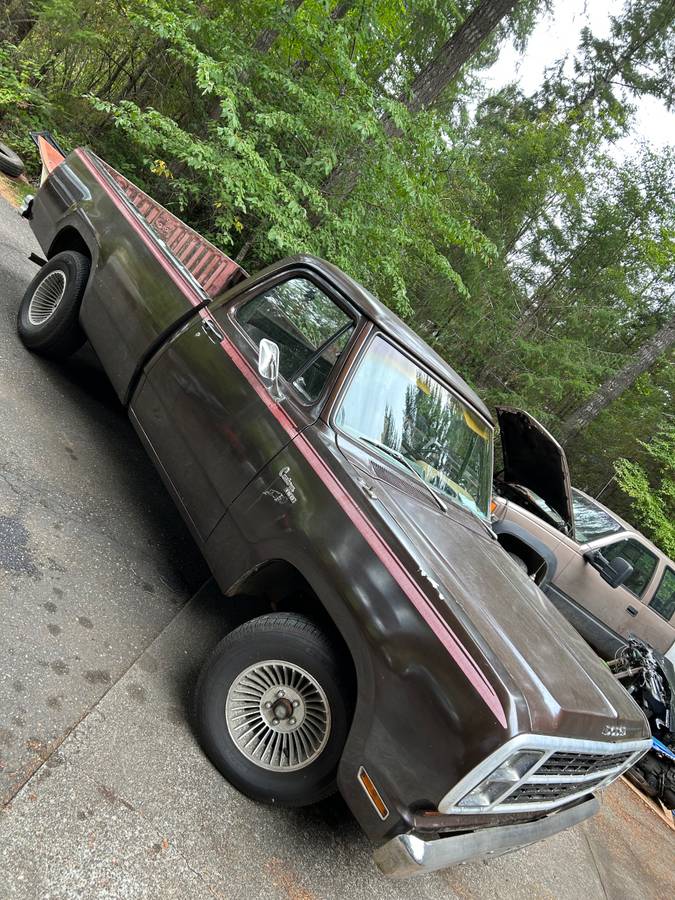 Dodge-150-custom-1980-brown-1