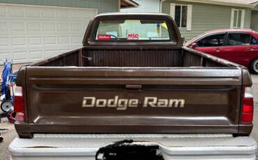 Dodge-150-custom-1980-brown-2