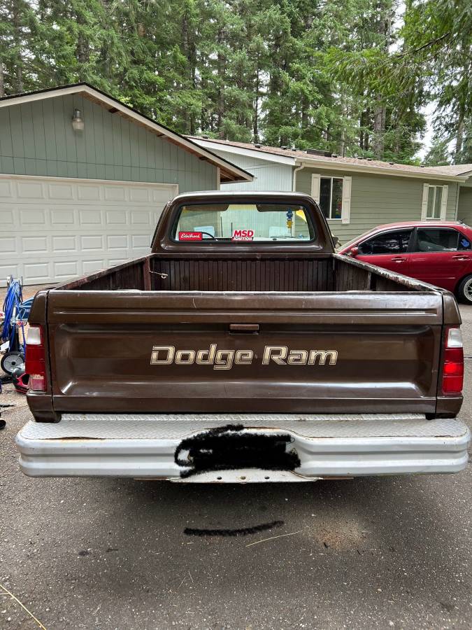 Dodge-150-custom-1980-brown-2
