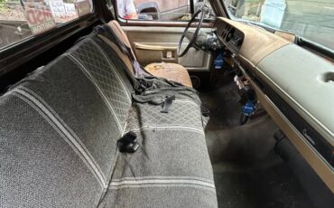 Dodge-150-custom-1980-brown-3
