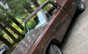 Dodge-150-custom-1980-brown
