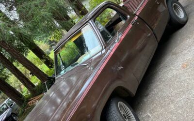 Dodge 150 custom 1980