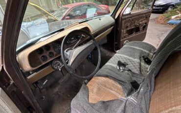 Dodge-150-custom-1980-brown-5