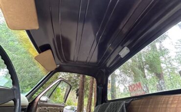 Dodge-150-custom-1980-brown-6