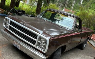 Dodge-150-custom-1980-brown-8