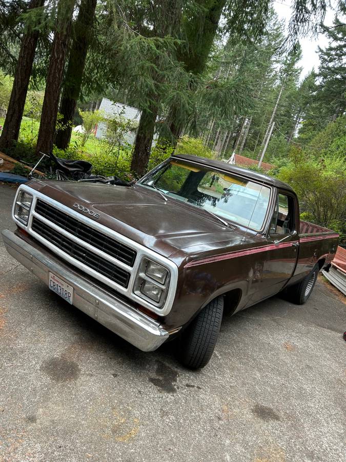 Dodge-150-custom-1980-brown-8