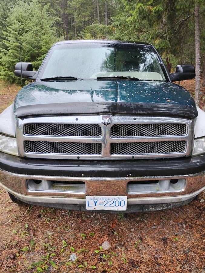 Dodge-1500-1996-3