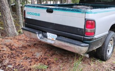 Dodge-1500-1996-4