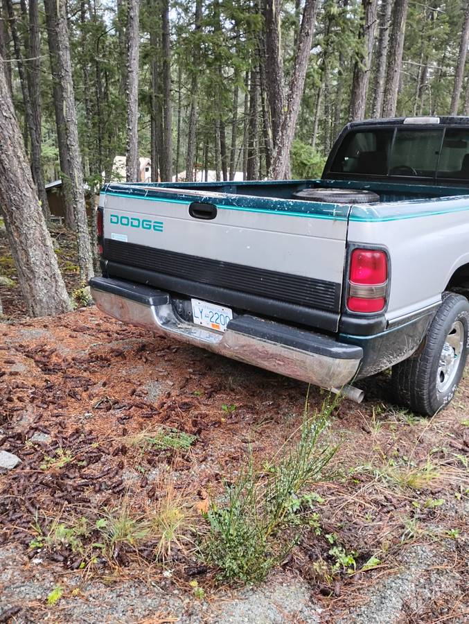 Dodge-1500-1996-4