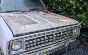 Dodge-1ton-custom-1975-white-21