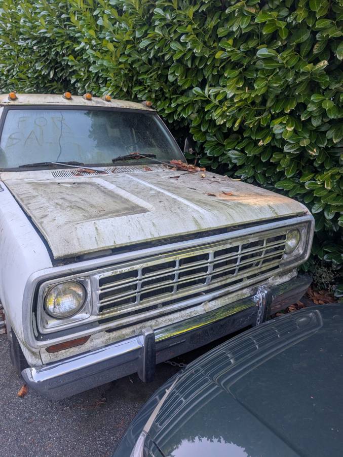 Dodge-1ton-custom-1975-white-21