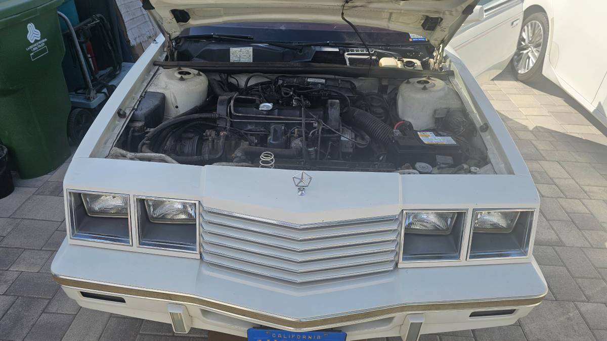 Dodge-600-1987-white-19