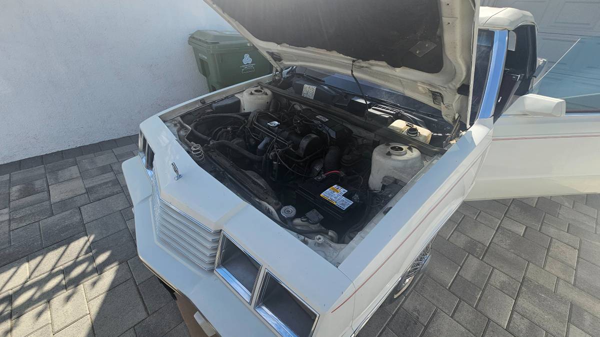 Dodge-600-1987-white-23