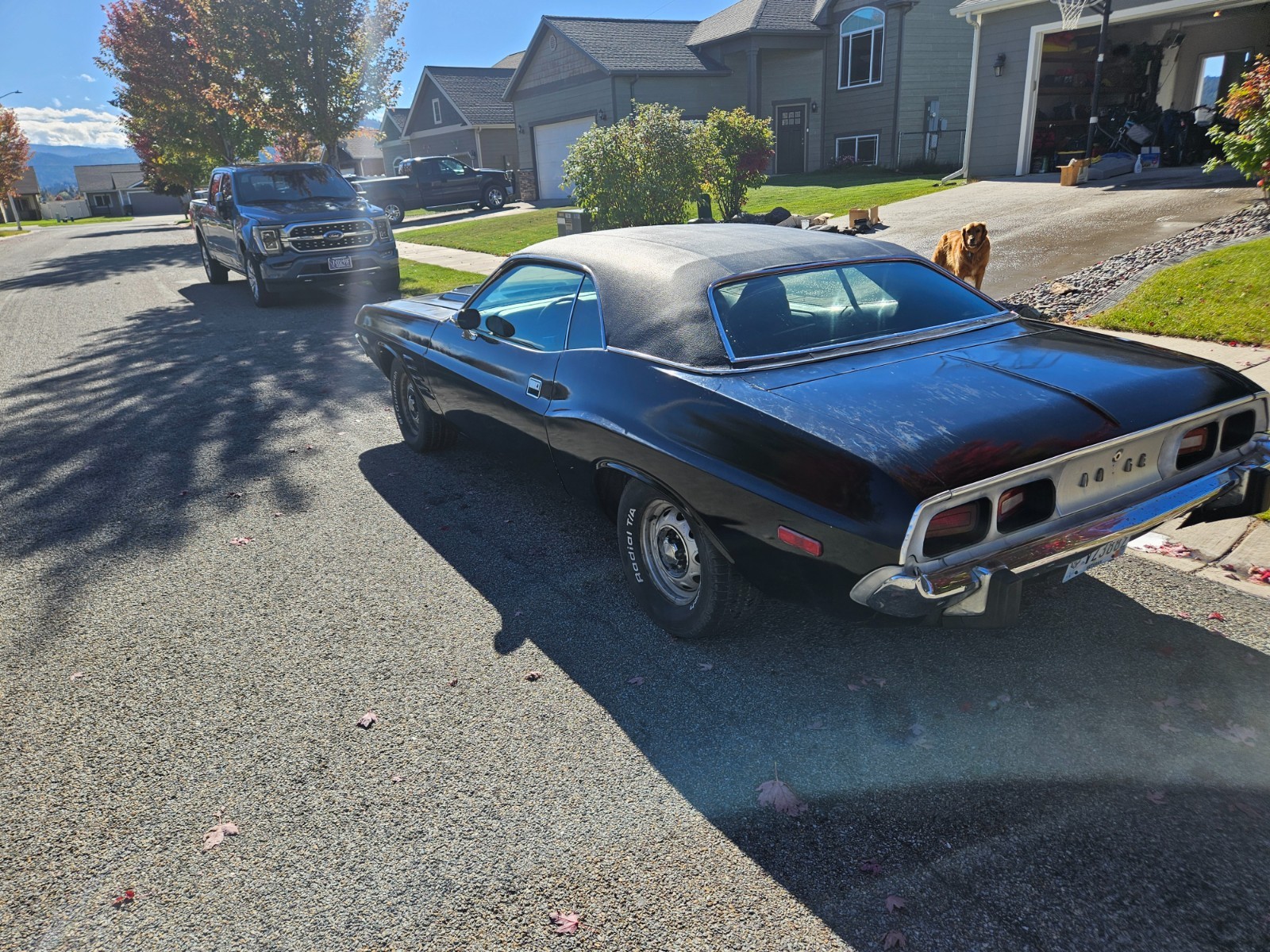 Dodge-Challenger-1973-Coupe-12