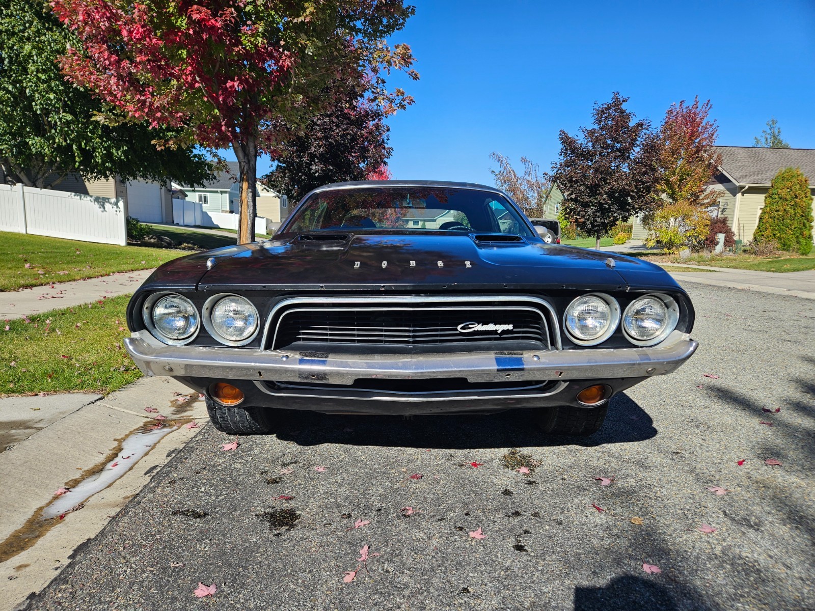 Dodge-Challenger-1973-Coupe-21