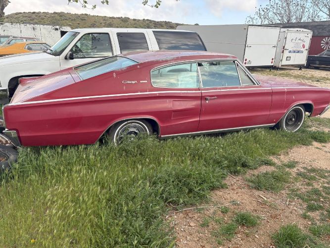 Dodge-Charger-1966-Red-6