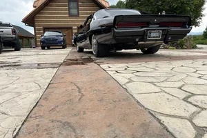 Dodge-Charger-1969-Black-Black-2